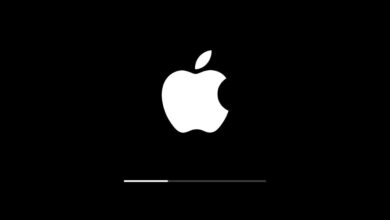 L'iPad lampeggia con il logo Apple? Come ripristinare lo stato normale