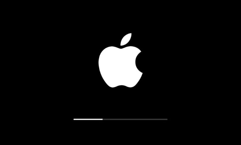 L'iPad lampeggia con il logo Apple? Come ripristinare lo stato normale