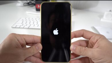 iPhone bloccato sulla schermata iniziale